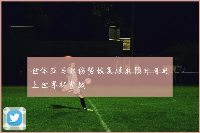 世体亚马尔伤势恢复顺利预计可赶上世界杯首战