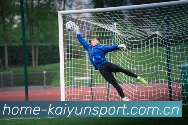 App Interface Preview