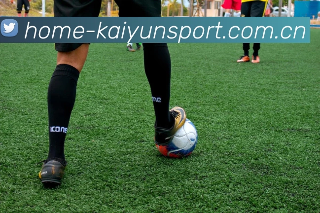 开云体育APP 封面图